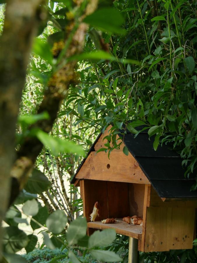 La Maison Des Oiseaux Vandrimare Exterior photo